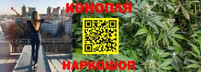 прущие крисы Нарткала